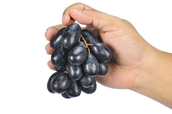 Pyszne i świeże czarny bez pestek winogron na białym tle o przytrzymanie ręka — Zdjęcie stockowe