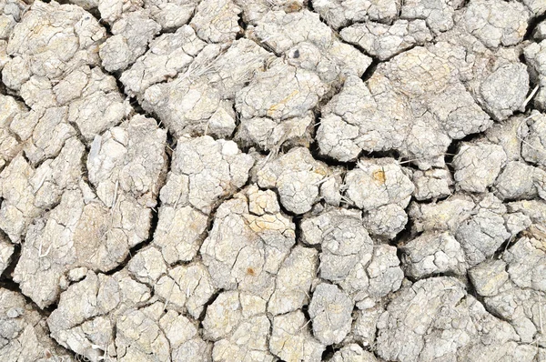 干透的土地在干旱和干燥的季节 — 图库照片