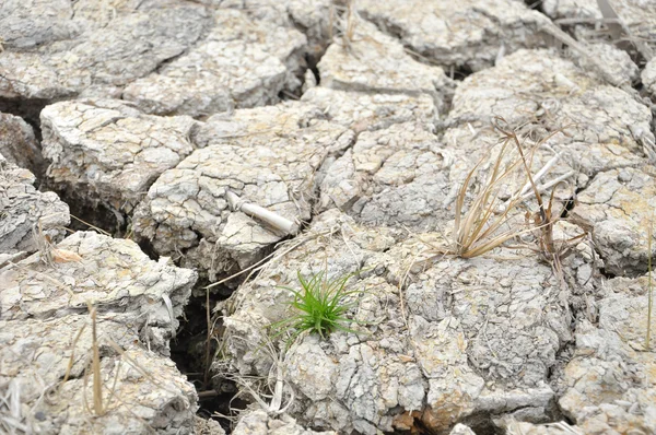 干透的土地在干旱和干燥的季节 — 图库照片