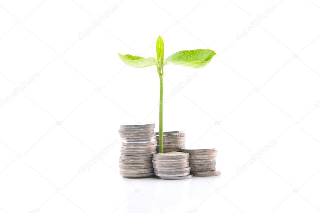 Stacks Of Coins And A Small Plant Sprouting From There Over Whit