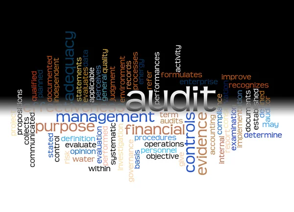 Word cloud of audit and its related words — Stock Photo, Image