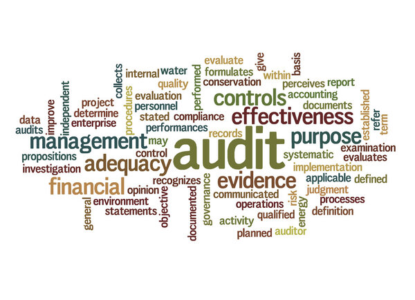Word cloud of audit and its related words