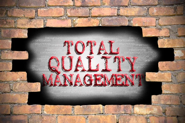Agujero en la pared de ladrillo con la gestión de calidad total título ins — Foto de Stock