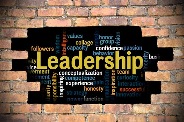 Liderlik kelime bulutu içinde tuğla duvar Hole'da