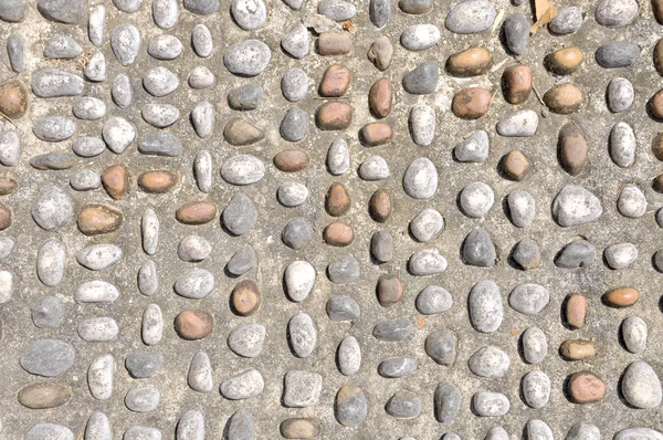 Pedra de seixo no pavimento para o caminho da reflexologia do pé — Fotografia de Stock