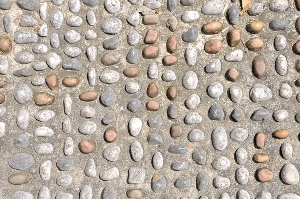 Piedra de guijarro en el pavimento para el camino de reflexología del pie —  Fotos de Stock