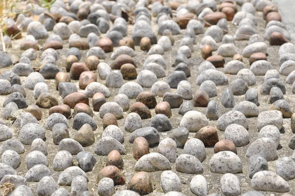 Sten sten på trottoaren för fot zonterapi väg — Stockfoto
