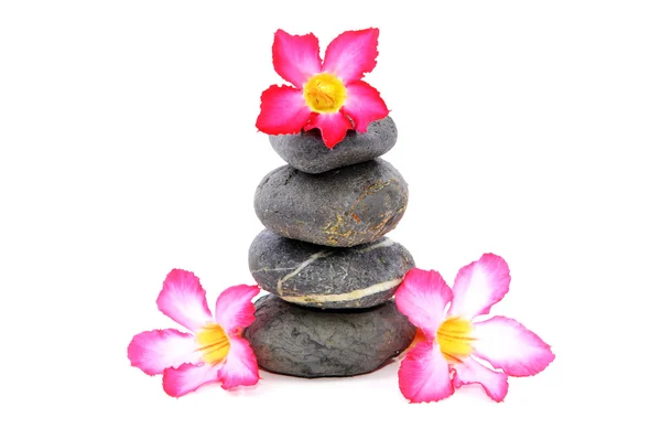 Zen And Spa Stone With Frangipani Flowers Over White Background — Stock Photo, Image