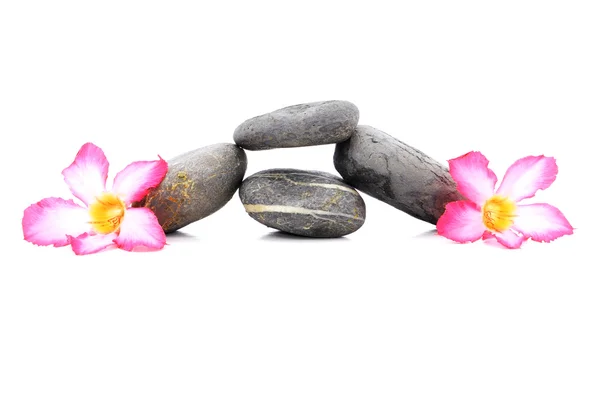 Zen i kamień kurort kwiaty Frangipani na białym tle — Zdjęcie stockowe