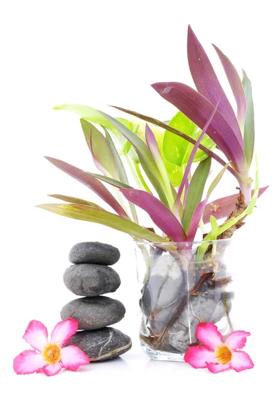 Zen e Spa concetto di pietra su sfondo bianco — Foto Stock