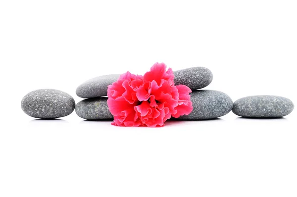 Zen And Spa Stone with Hibiscus Flower Over White Background — Stock Photo, Image