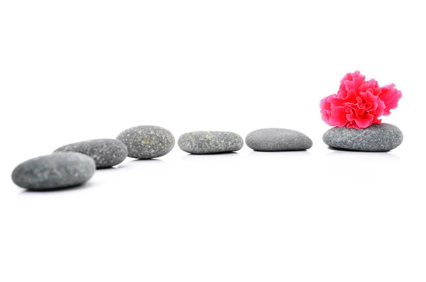 Zen And Spa Stone with Hibiscus Flower Over White Background — Stock Photo, Image