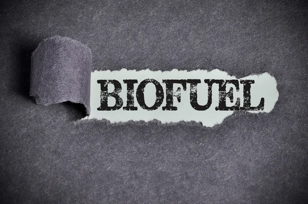 biofuel word under torn black sugar paper