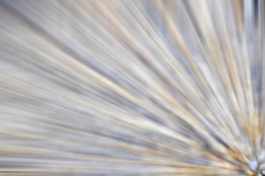 Zoom Hareket Bulanıklığı arka plan