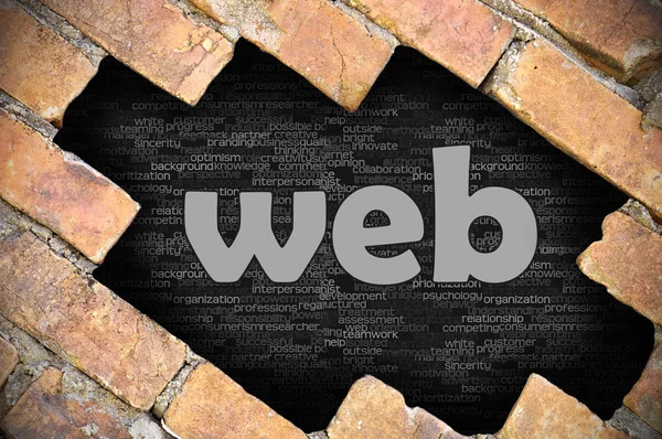 단어 웹 벽돌 벽에 구멍 — 스톡 사진