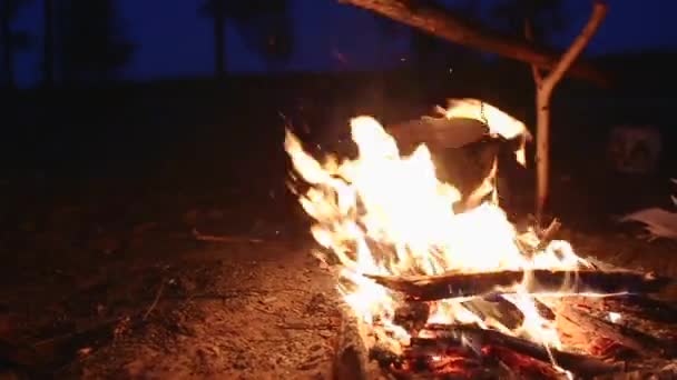 Fogueira nocturna — Vídeo de Stock