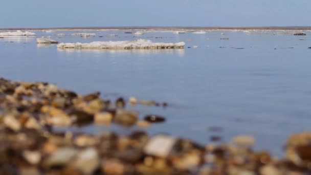 Río Debacle — Vídeo de stock