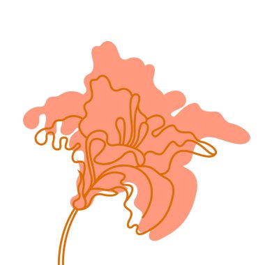 Lily çiçekleri. Kart tasarımı, davetiyeler, dokular için izole çiçekler. Vektör illüstrasyonu.