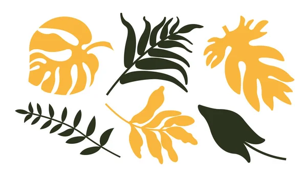 Set Tropical Leaves Flat Style Vector Illustration — Stock Vector