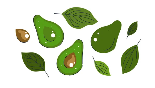 Avocado Set Vorhanden Ganze Früchte Die Hälfte Samen Blätter Vektorillustration — Stockvektor