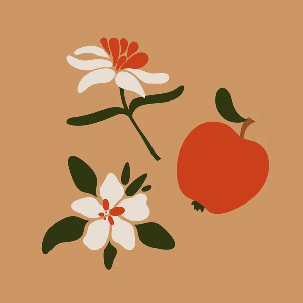 Coleção Frutos Maçã Flores Macieiras Folhas Ilustração Vetorial — Vetor de Stock