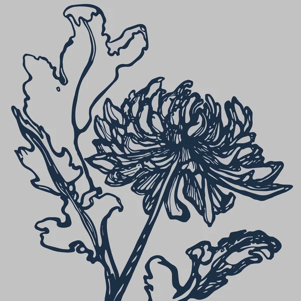 Chrysantheme — Stockvektor