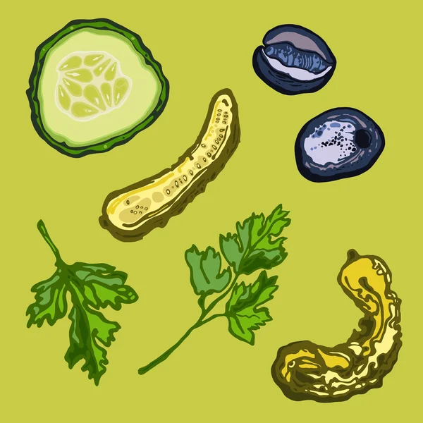 Verduras. Pepinos, Aceitunas y Perejil — Vector de stock