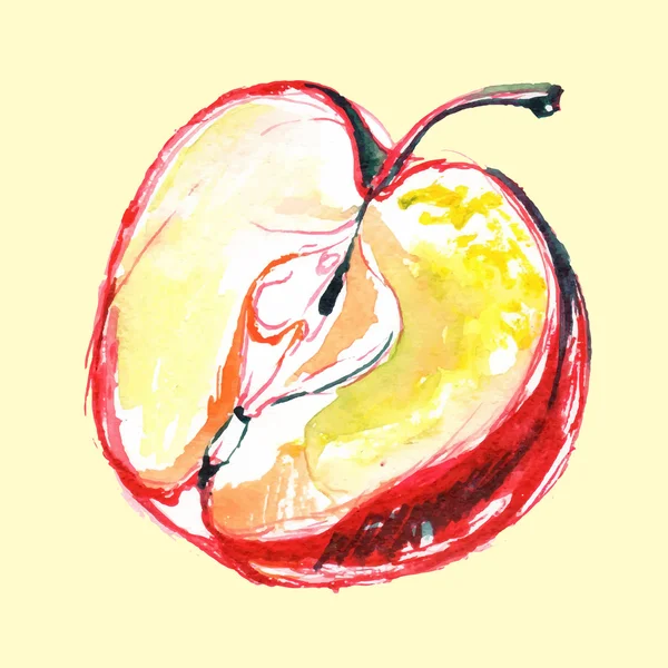 Elle çizilmiş suluboya. Vektör çizim elma — Stok Vektör