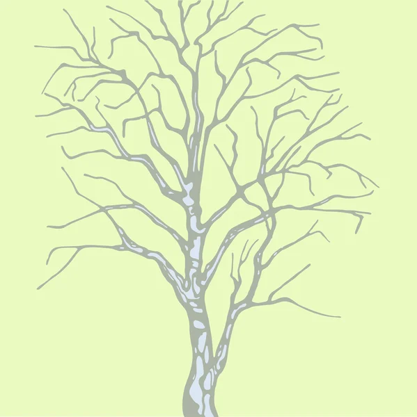 Δέντρο σημύδα — Διανυσματικό Αρχείο