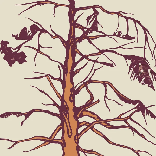 Árbol de pino — Vector de stock