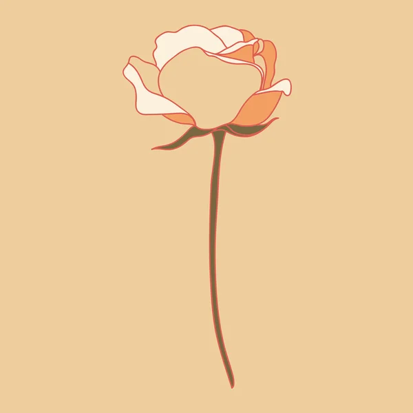 Illustration vectorielle Rose — Image vectorielle