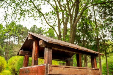 Kuş yuvası bir parkta