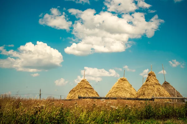 Haystack em campo — Fotografia de Stock