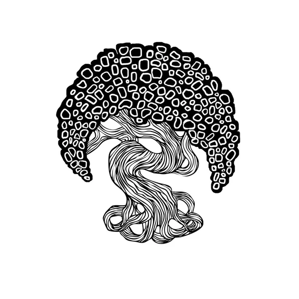 grafik bonsai ağacı. eğri gövde, büyük taç