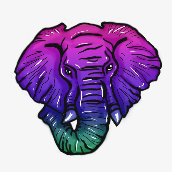 Head of elephant bright color stylized — Stock Photo, Image