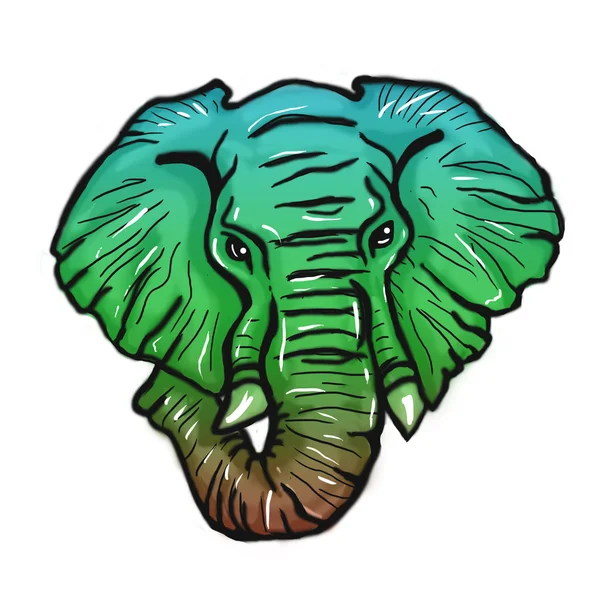 Head of elephant bright color stylized — Stock Photo, Image