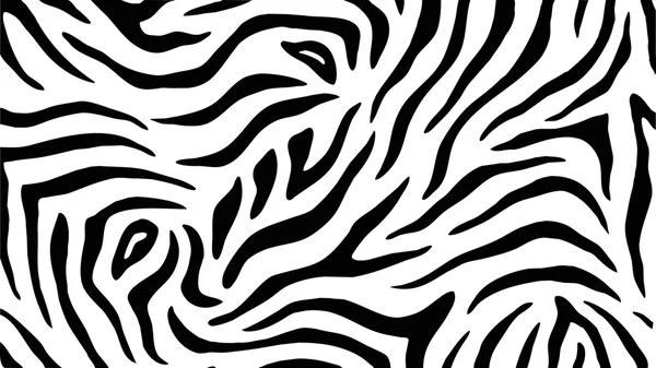 Zebra strepen patroon — Stockvector