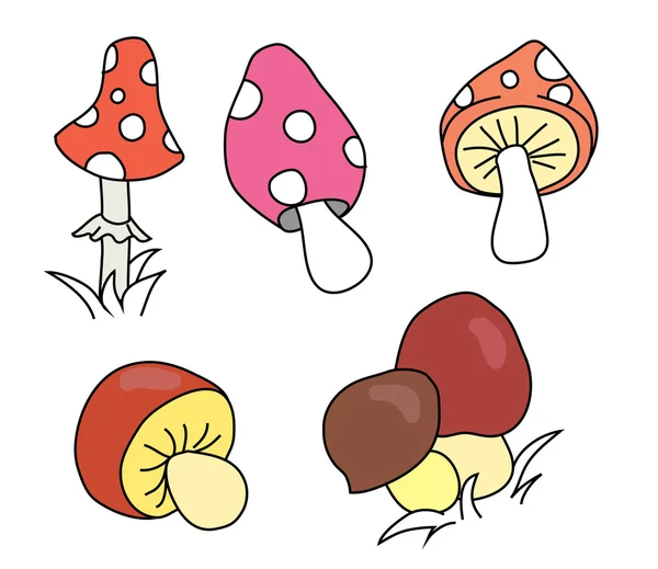 Çizgi film farklı mantar toplama.