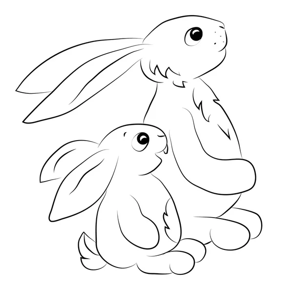 iki tavşan anahat doğru seyir