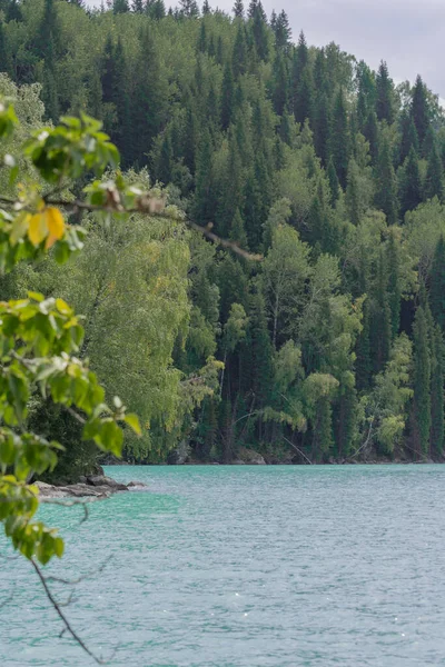 Kazakistan 'daki Zhasylkol Gölü