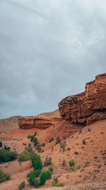 Temirlik kanyonu Charyn 'in yanında. 