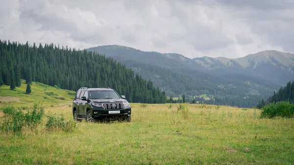 Ormandaki araba Kazakistan, Satty