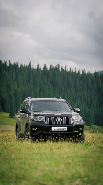 Ormandaki araba Kazakistan, Satty