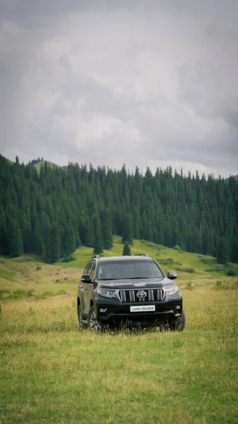 Ormandaki araba Kazakistan, Satty