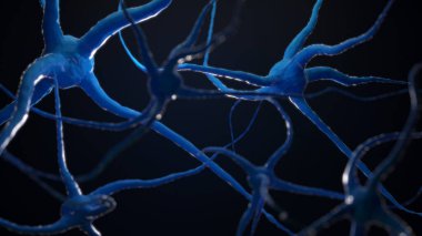 Sinirsel Beyin Hücrelerinin Sinapslar vasıtasıyla Birbirine Bağlı 3 boyutlu Web Ağı