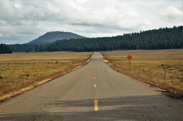 Lonely road crosses cattle country in northern Arizona — Stock Photo, Image