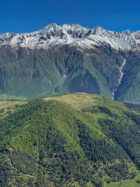Schneebedeckte Berge Georgien Natur Georgiens Wälder Großes Feld — Stockfoto