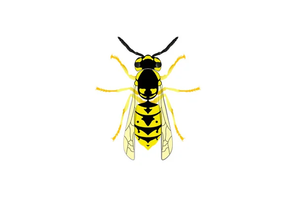 Σφήκα Μέλισσα Επίπεδη Εικονίδιο Έντομα Διάνυσμα Θηλαστικό Απεικόνιση — Διανυσματικό Αρχείο