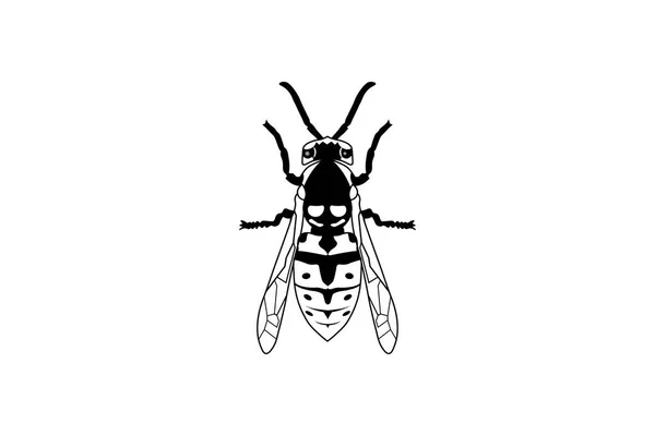 Vosa Včela Ikona Černý Obrys Hmyz Vektor Savec Ilustrace — Stockový vektor