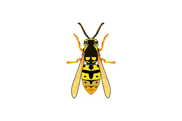 Guêpe Abeille Plat Icône Insectes Vecteur Mammifère Illustration — Image vectorielle